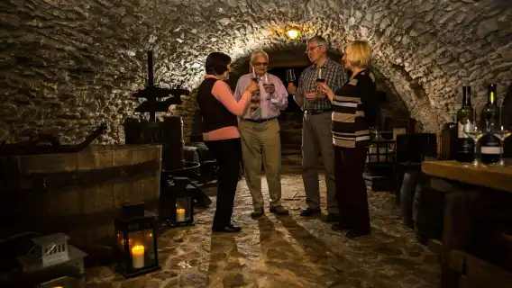 Small Carpathian wine tour from Bratislava