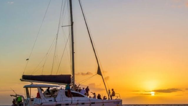Whale Watching in a Yacht in Mirissa