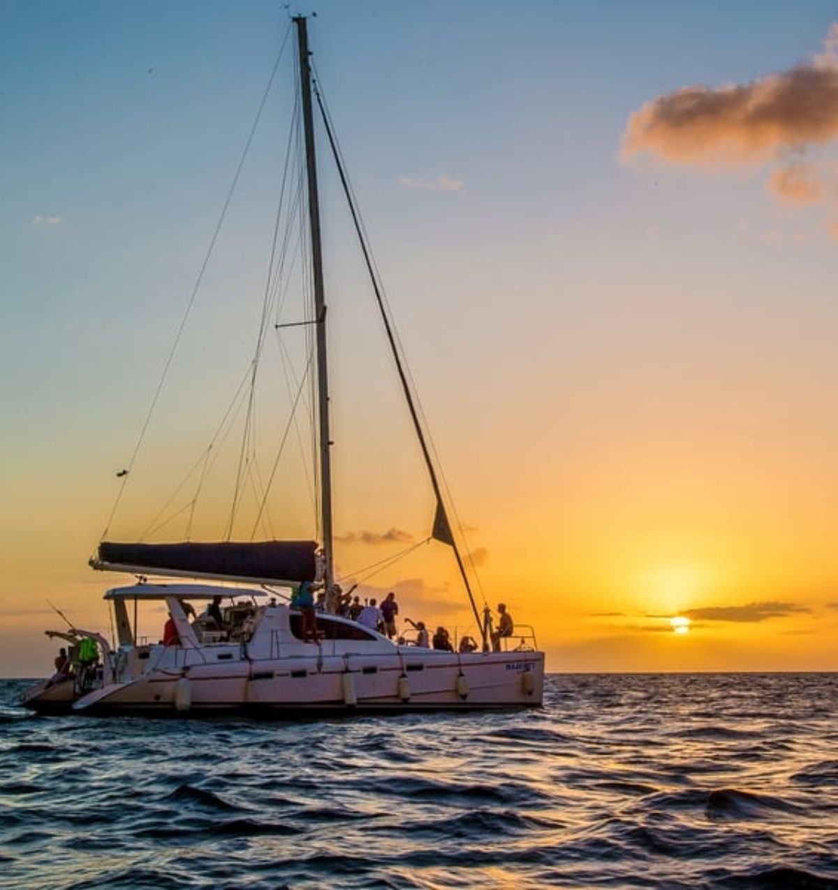 Whale Watching in a Yacht in Mirissa