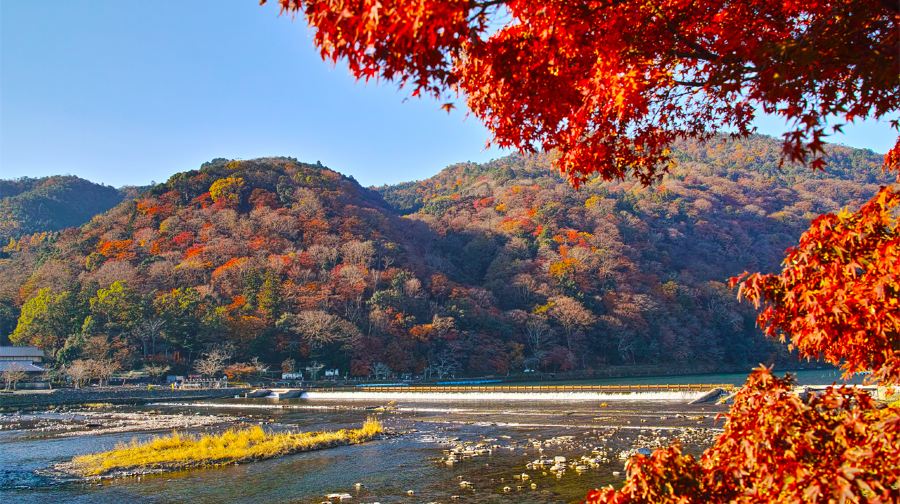 【京都網紅美景打卡】勝尾寺+美山茅葺屋集落+嵐山一日遊
