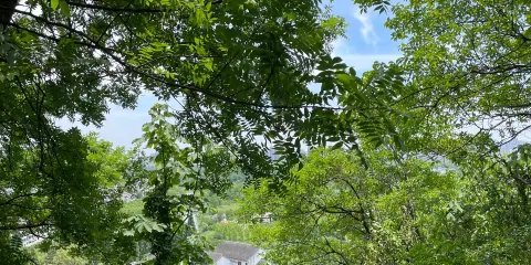 南通狼山+濱江公園+濠河+唐閘古鎮+嗇園包車一日遊中英文服務