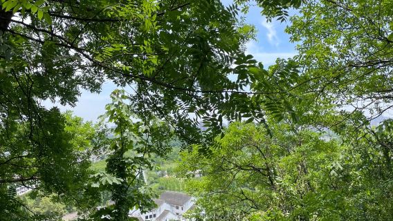 Nantong Langshan + Binjiang Park + Haohe River + Tangzha Ancient Town + Seyuan one-day tour with private charter Service