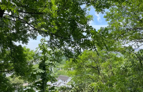 南通狼山+濱江公園+濠河+唐閘古鎮+嗇園包車一日遊中英文服務