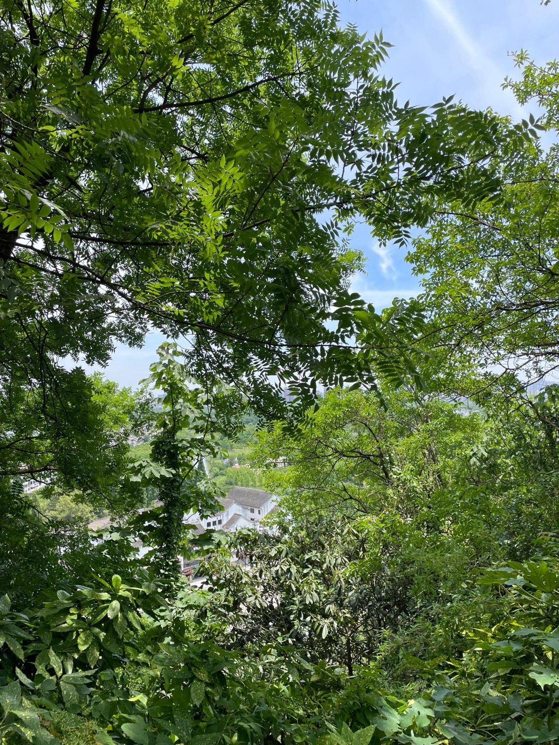 ทัวร์ 1 วันเหมารถพร้อมบริการภาษาอังกฤษ หนานทง ภูเขาหมาป่า + สวนสาธารณะริมแม่น้ําหนานถัง + แม่น้ำเฮา + เมืองโบราณถังจา + ไร่ขี้