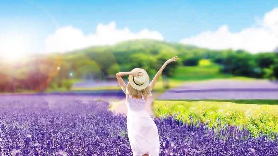 Gunma Four Seasons Fruit Picking + Fukiwara Falls + Lavender Sea one-day tour Seasonal Limited