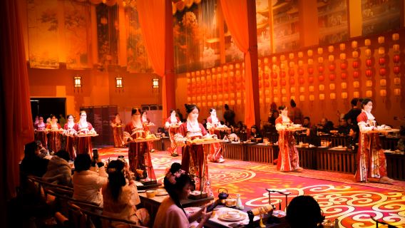 Chongqing Qingyu Banquet: A Palace Feast Experience (Palace cuisine + Chongqing delicacies + Classical makeup + Audiovisual feast + Time-travel experience + Traditional Japanese clothing (kimono) experiences)