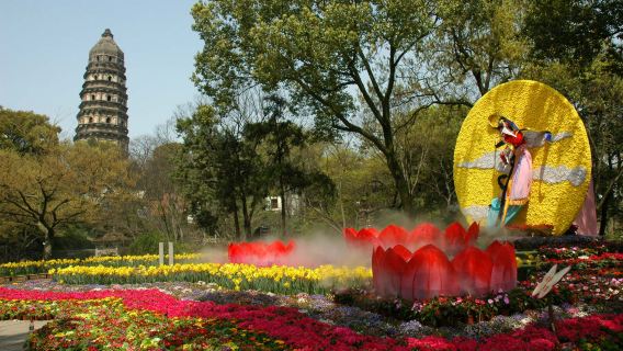 蘇州虎丘山風景名勝區+寒山寺+山塘街+姑蘇水上遊船半日遊【純玩中午發團】