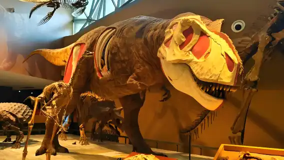 上海自然博物館探秘:海量絕世標本 全方位展現生命演化