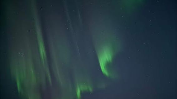 Skjervøy, norte de Tromsø: observación de estrellas de la aurora boreal (minivan)