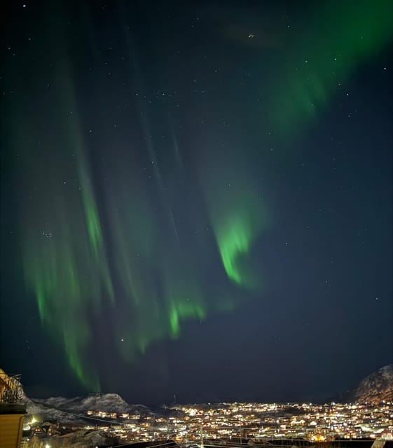 Skjervøy, a nord di Tromsø: osservazione delle stelle dell'aurora boreale (minivan)