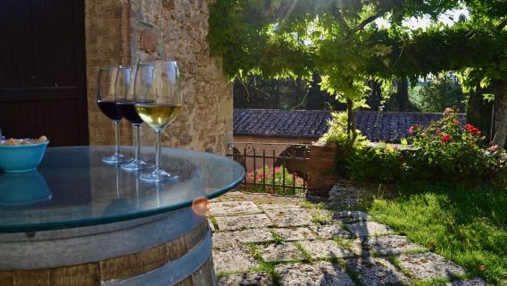 Chianti: Castle Cellar Tour with Wine Tasting