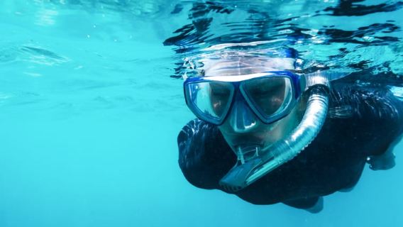 Aqaba: Cuộc phiêu lưu lặn biển với xe riêng và hướng dẫn viên - 2 chỗ