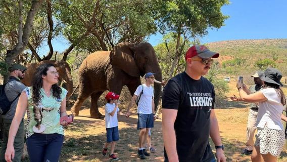 From Johannesburg: Elephant and Monkey Sanctuary Day Trip
