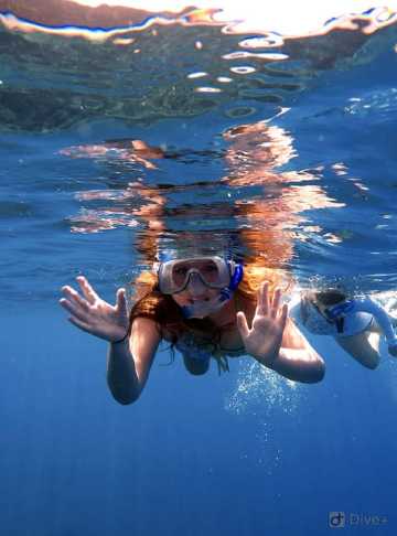 Maui dan Lanai: Tur Petualangan Snorkeling dan Lumba-lumba