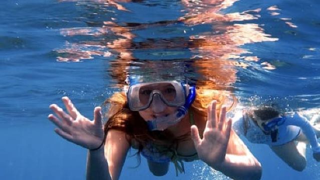 Мауи и Ланаи: тур с погружением с маской и трубкой и наблюдением за дельфинами