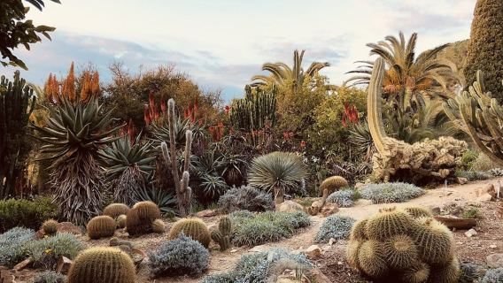 Blanes: Eintrittskarte für den Botanischen Garten Marimurtra