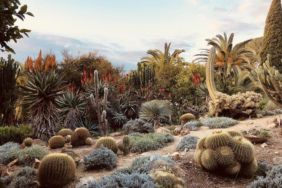 Blanes: Marimurtra Botanical Garden Entry Ticket