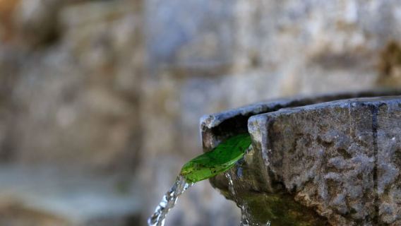 Anello Parnitha (Parnis) / Skipiza e Mola - Escursione vicino ad Atene