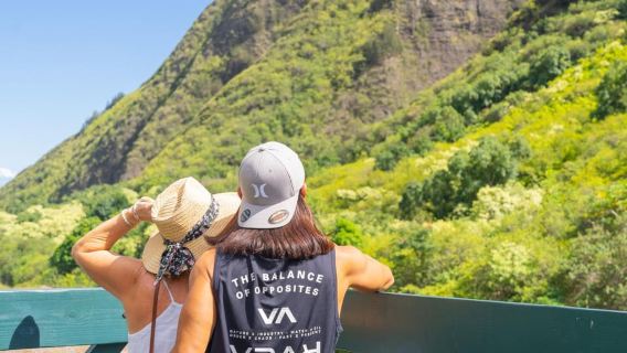 Da Oahu: il meglio di Maui/Haleakala - Sorsi, panorami e spuntini
