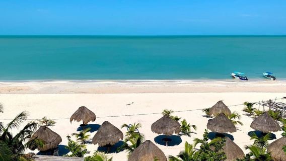 Merida: Celestun Boat Ride Mangrove Experience! Beach Time