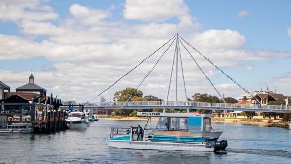 Mandurah: crociera turistica per avvistare i delfini con guida turistica
