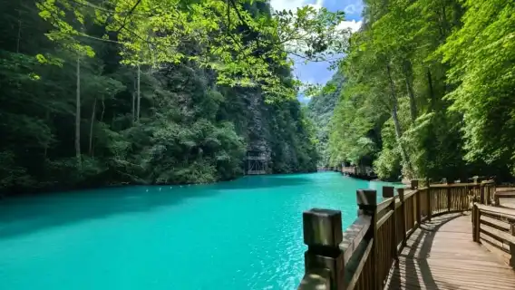 ○창사 출발 고속철도-협곡의 기이한 풍경+지심 탐험-장자제 유리 다리-황룡동-심층 관광-전문 가이드-재미있는 해설-효율적인 관광