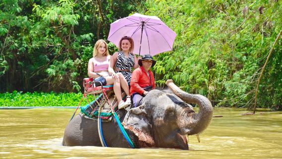 'Premium Special' Pattaya Wild Elephant Park with Hotel Transfer|Wide selection of activities
