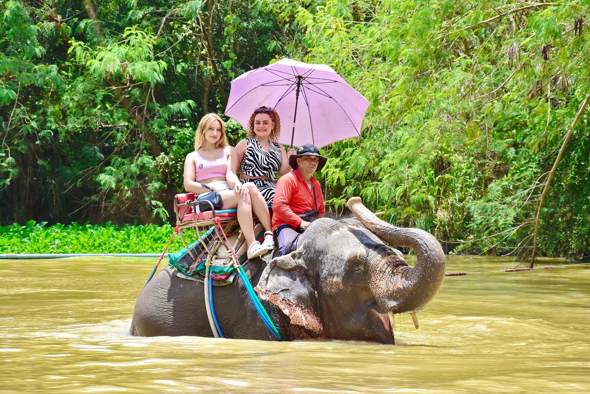 "Offerta Esclusiva" Parco degli Elefanti Selvatici di Pattaya [Trasferimento dall'hotel incluso]|Tantissime attività tra cui scegliere