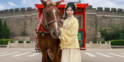 曲阜孔廟孔府【精品9人小團】非遺馬車體驗+金牌導遊趣味講解