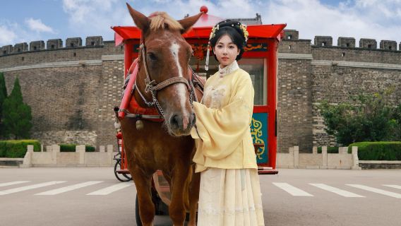 曲阜孔廟孔府【含門票9人小團】非遺馬車體驗＋金牌導遊趣味導覽