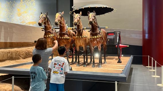 【金牌說】海昏侯博物館導覽 3小時 金牌導遊 專業精講 可含票