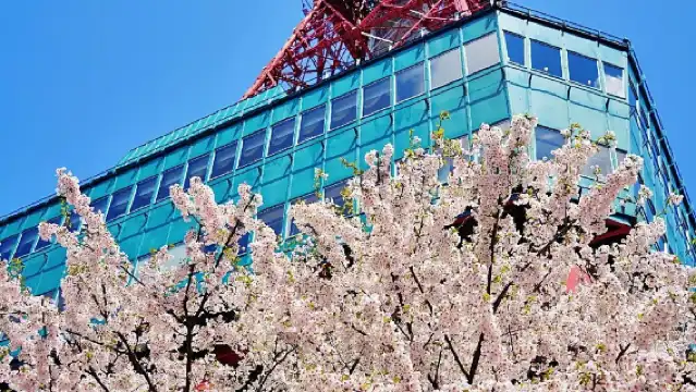 札幌+北海道神宮+中島公園一日遊/行程可調-可定制多日