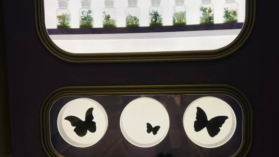 韓國愛寶樂園一日遊 首爾出發