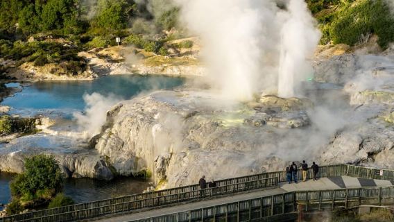 Te Puia: Te Rā Guided Day Tour