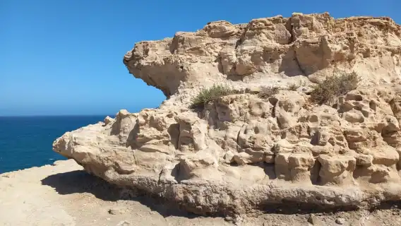 Fuerteventura: Guided Hotspot & Sightseeing Tour max.8people