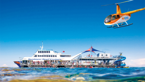 [Urgent orders accepted] Cairns Sunlover Reef Cruises 1-day tour to Great Barrier Reef #Official direct booking includes lunch