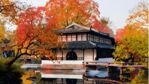 Tur Apresiasi Musim Gugur: pulang pergi dari Shanghai - perjalanan satu hari Gunung Tianping & Taman Lingering Suzhou | Penerimaan Tamu Asing