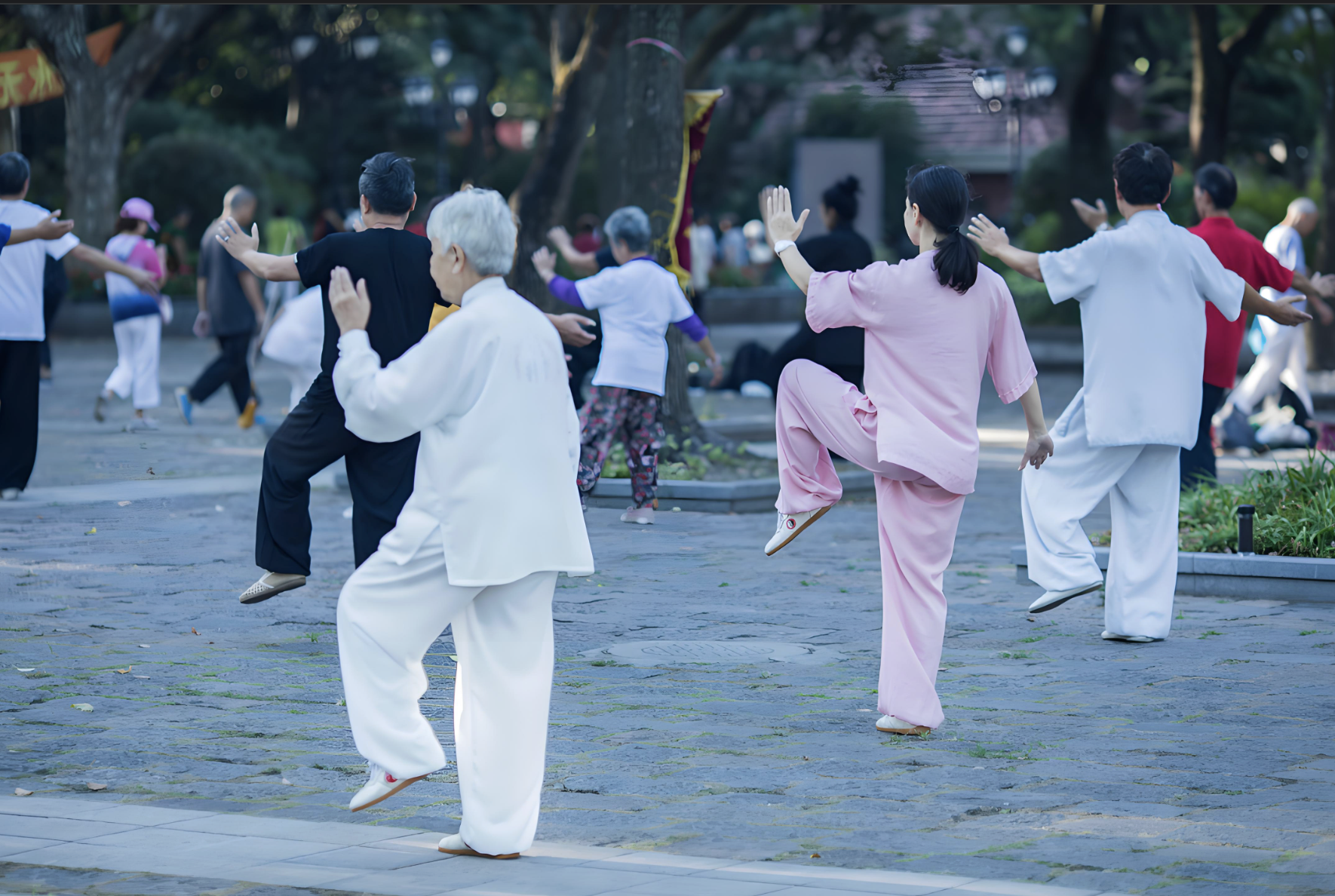 Private Experience Hangzhou Like a Local — Culture, Lifestyle & Hidden Beauty