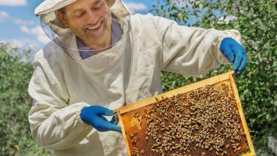 Beekeeping Experience