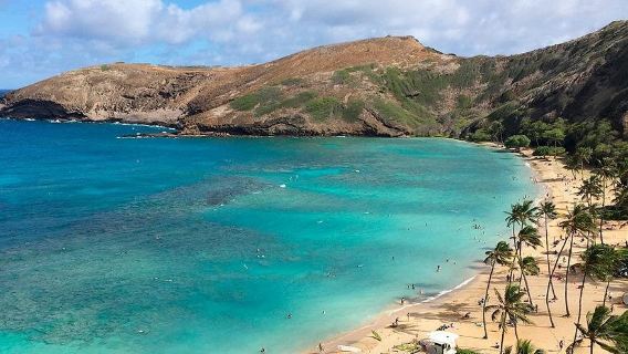 Grande giro dell'isola di Oahu e tour di un giorno nella città di Haleiwa a Hawaii [Tour in inglese]
