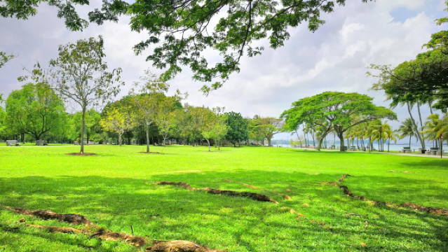 Singapore Hidden Gems Route: Pasir Ris Town Park + Singapore Cable Car + Gardens by the Bay + Little India