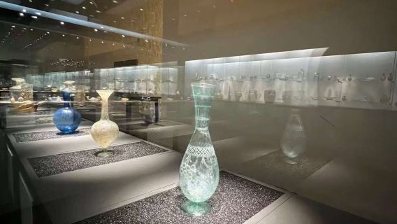 Wilhelma - Zoological-botanical garden + Old Palace & Württemberg State Museum + Bear Lake + Royal Opera House