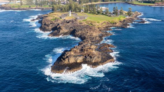 Sydney South Coast Wonders Day Tour: Sea Cliff Bridge, Blowhole and Wildlife Encounters