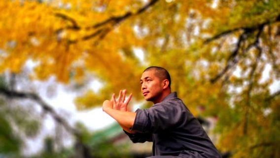 鄭州出發嵩山少林寺+武術館+塔林+三皇寨純玩一日遊