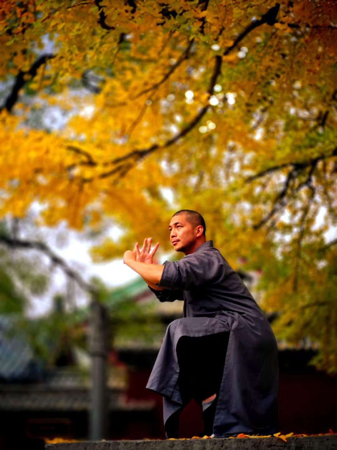 鄭州出發嵩山少林寺+武術館+塔林+三皇寨純玩一日遊