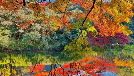 Escursione classica di un giorno a Hangzhou Shilangdang - Viaggio autunnale a piedi con servizio in cinese/inglese