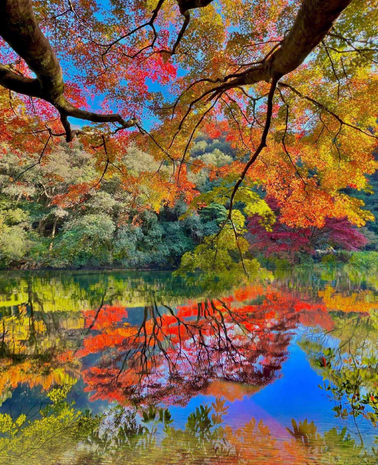 Klassische eintägige Wanderung auf dem Hangzhou Shili Langdang Trail - Herbstwanderung mit chinesischem/englischem Service