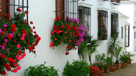Mijas, Marbella & Puerto Banús: Geführte Tour