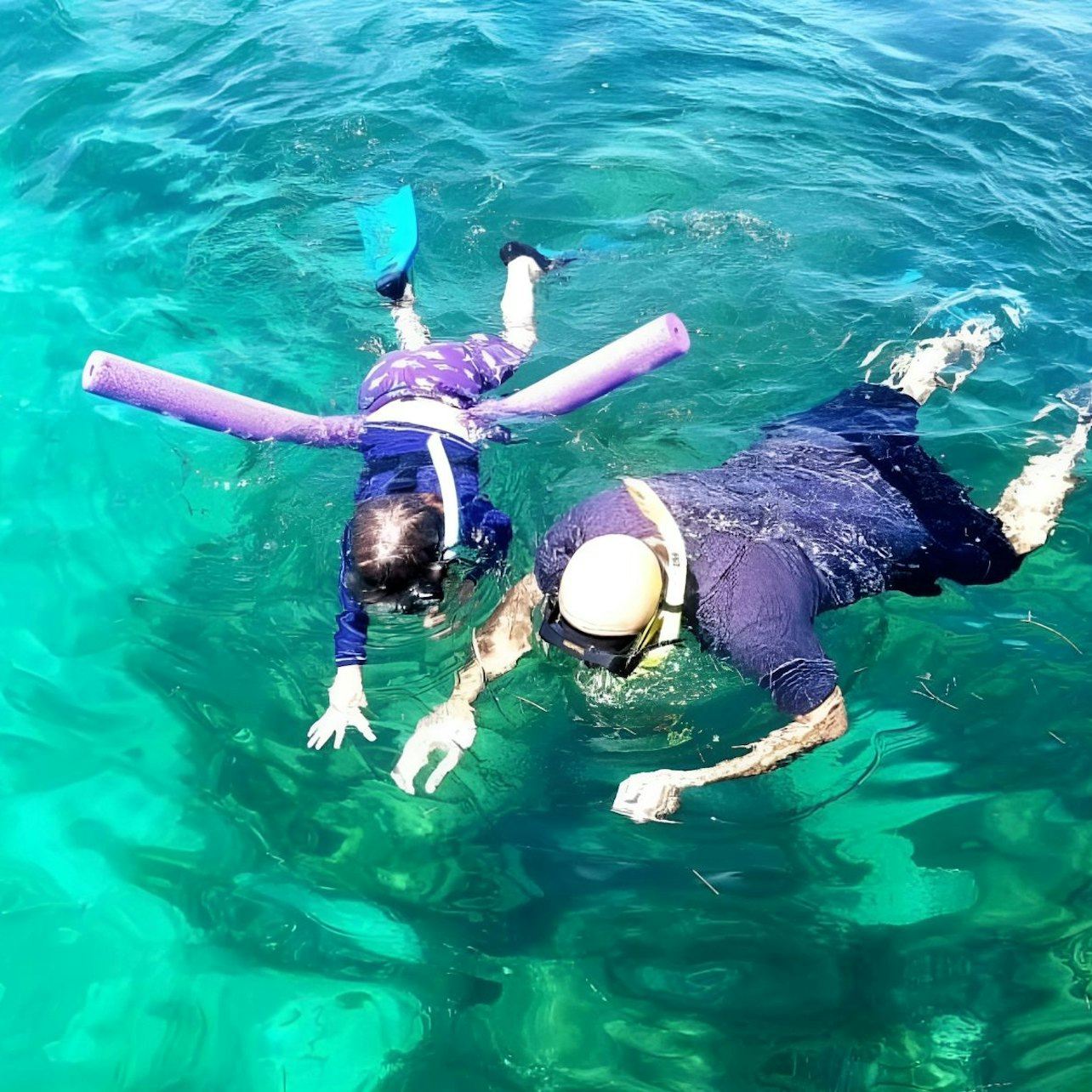 Biscayne Bay: Guided Snorkeling Adventure from Miami
