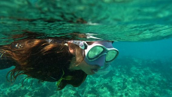 Playa Blanca: Guided Snorkeling Experience + Transfers
